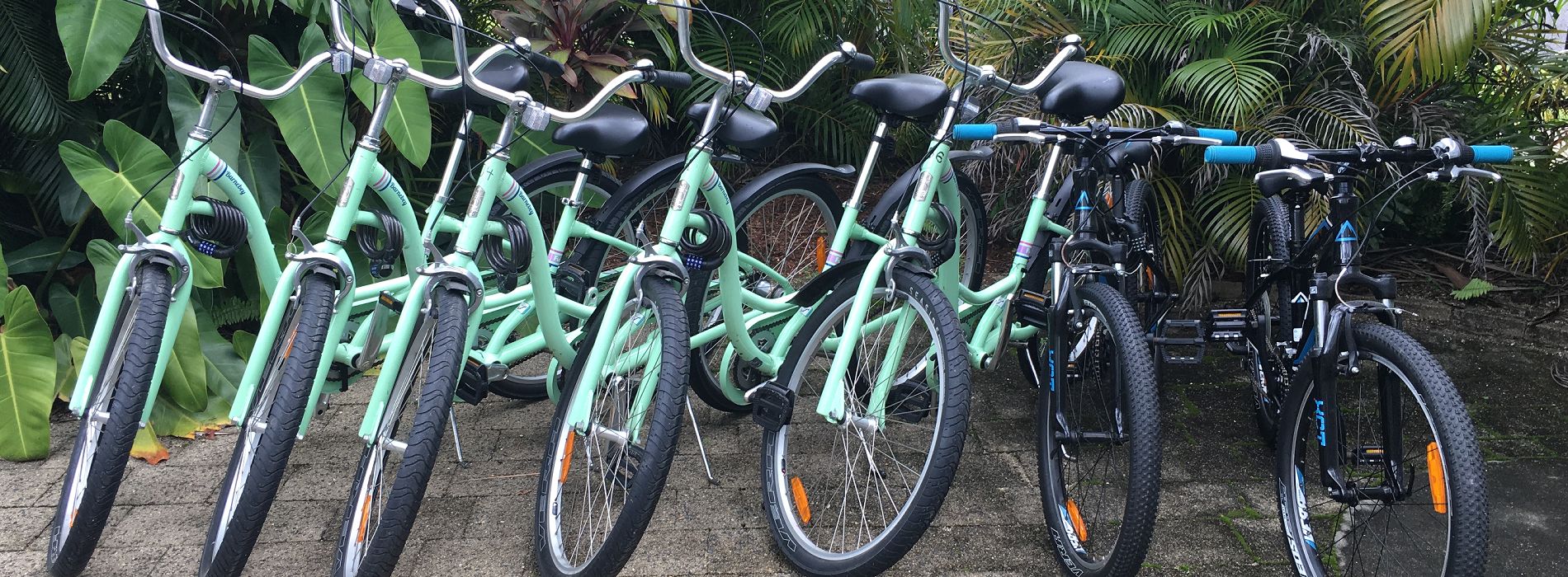 Cairns Holiday Apartments Oasis Inn Cairns Bike Hire